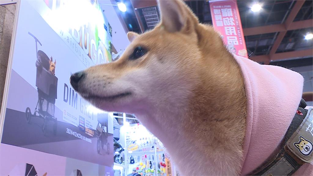 寵物年菜、過年服飾人氣超夯　寵物展辦一次商機這麼高！