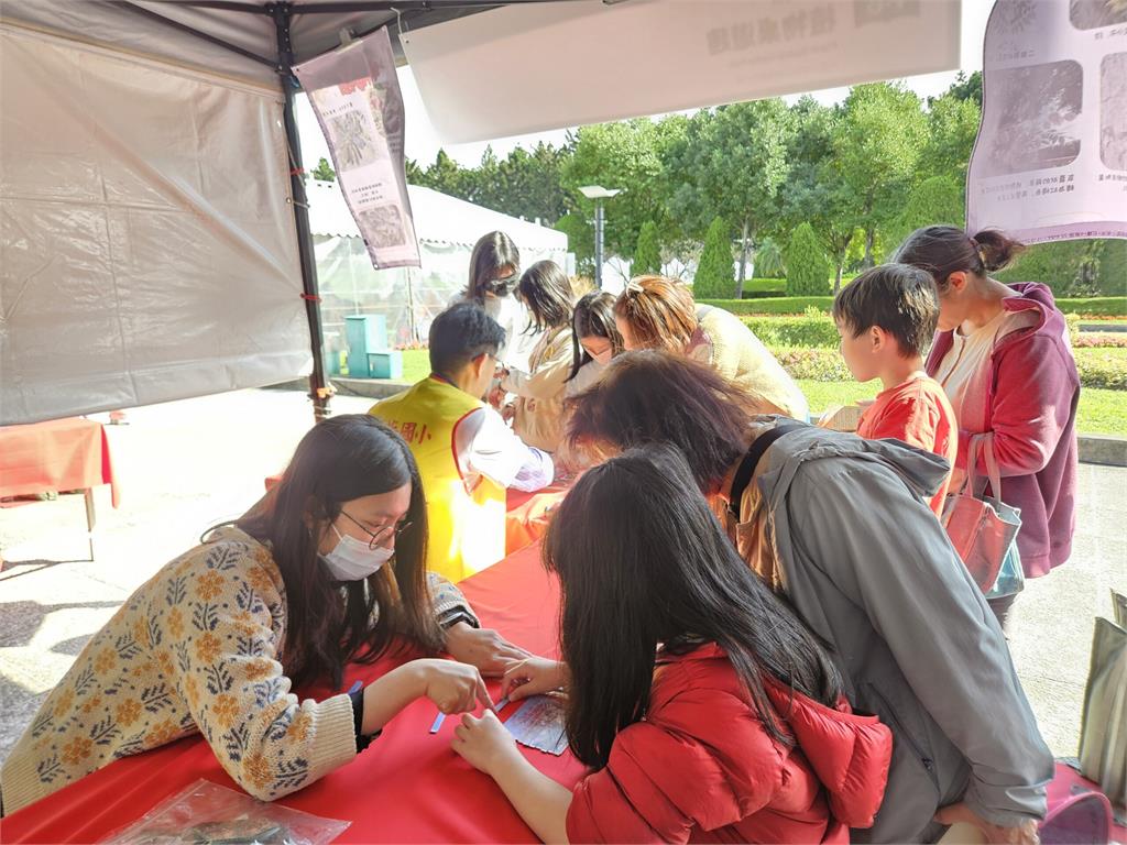 桃園楊梅國小把「植物」變桌遊!亮相台灣閱讀節展現生態教育成果