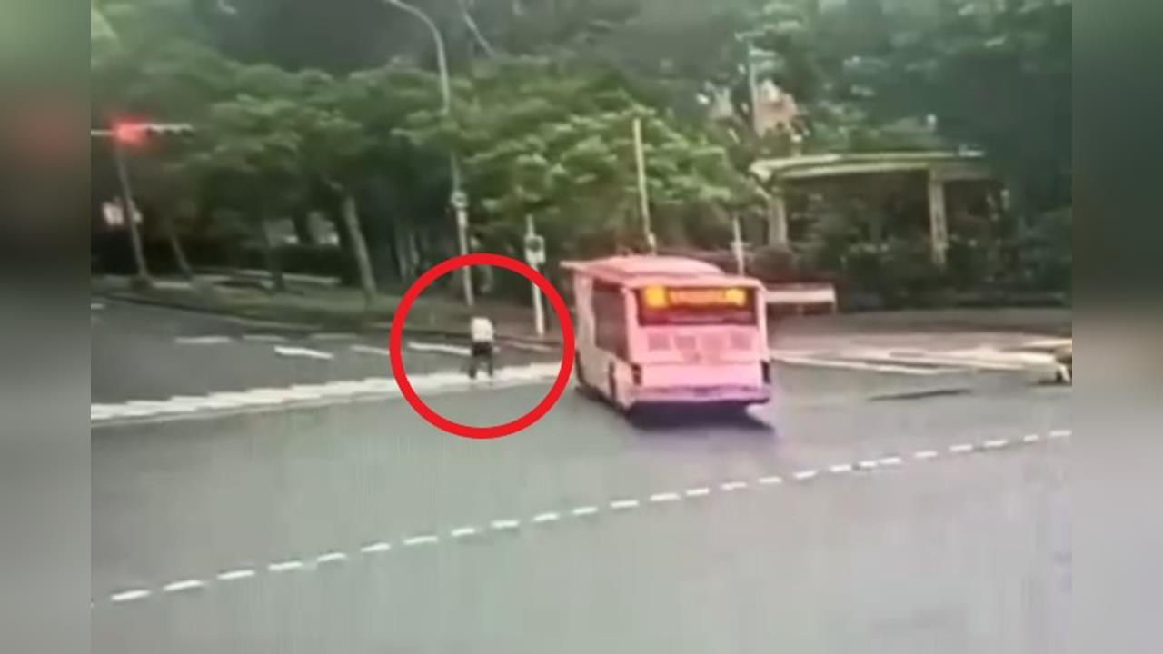 快新聞／乳癌名醫走斑馬線慘遭公車輾斃　欣欣客運駕駛判刑1年6月