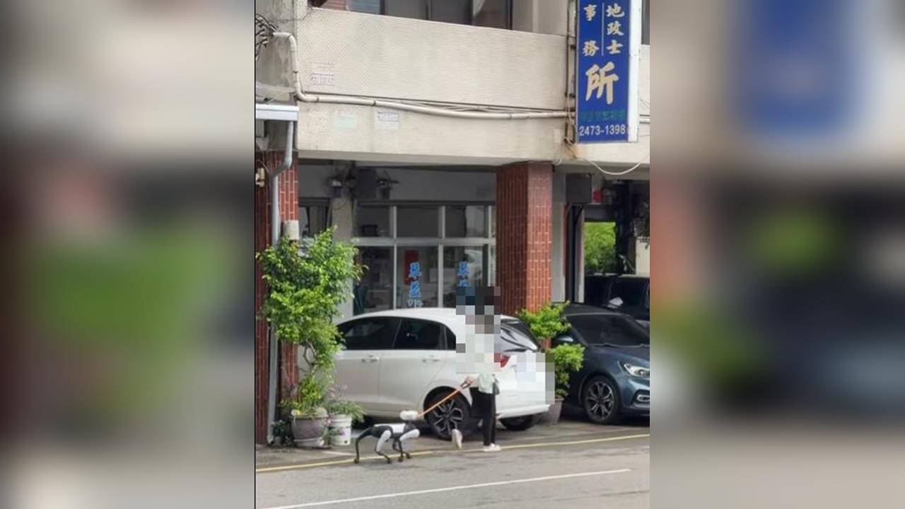 快新聞／中國製機器狗驚現台中！南屯散步逛大街　網驚：合法嗎？