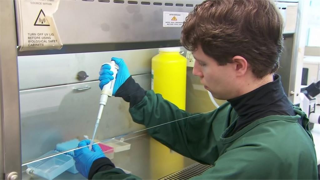 澳洲研究發現「頭蝨藥」能抑制武肺病毒生長！ 最快一個月內展開人體試驗