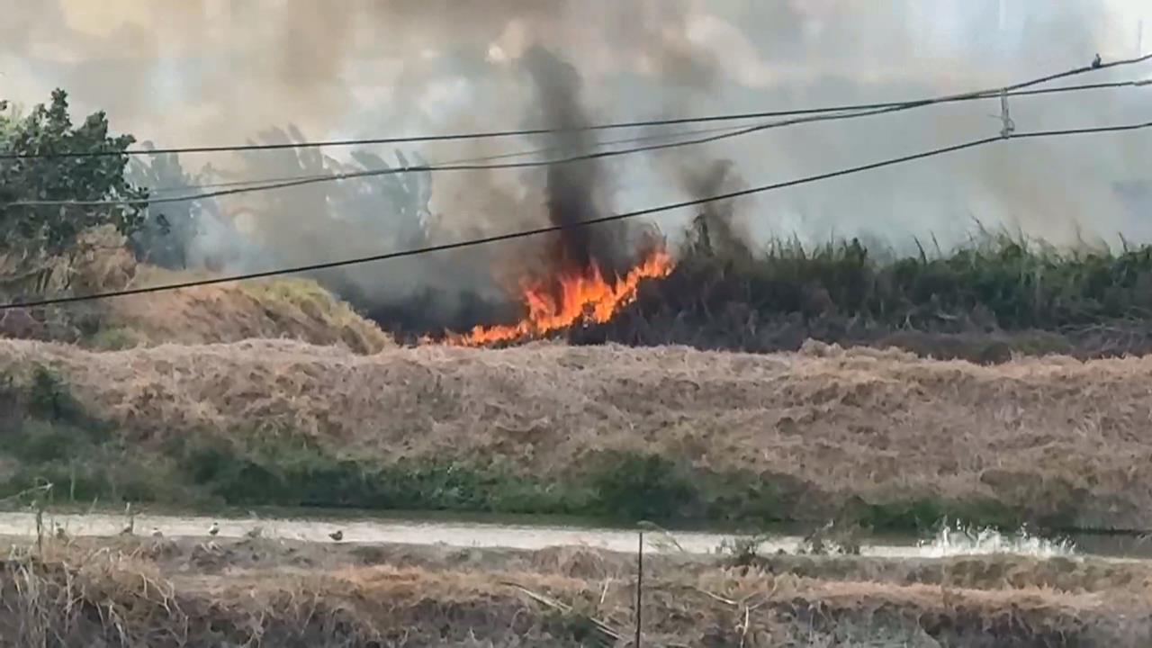 屏東獵人設陷阱抓山豬 草地點火釀火災濃煙直竄