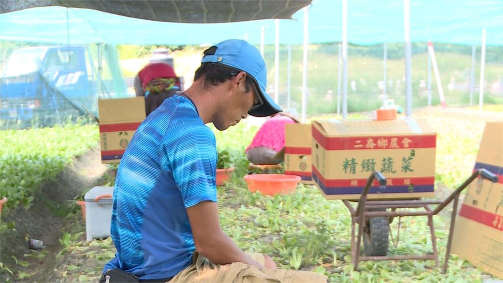 開砲林聰賢影片瘋傳 蔬菜炸彈客:只是說出農民心聲