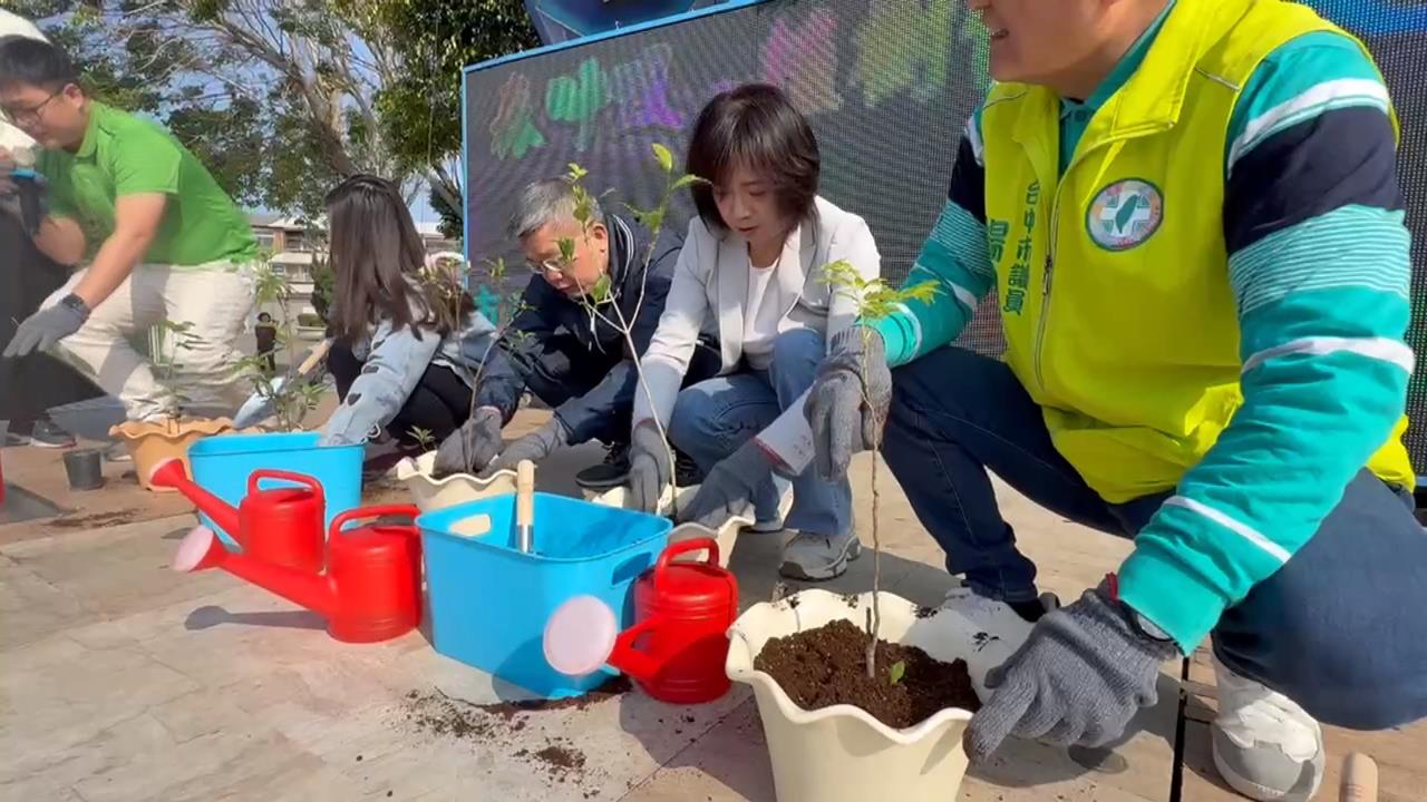 台中瘋搶「招貴人」樹苗　何欣純諷改善空污不是口號