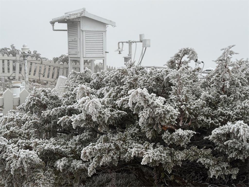 【圖多】玉山、太平山出現霧淞！合歡山下冰霰路結霜　武嶺至松雪樓得加掛雪鏈