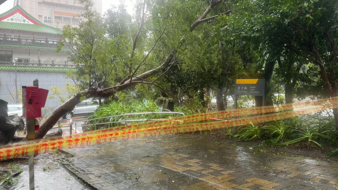 共伴效應山區掀狂風暴雨！　文大學生：差一點連滾帶爬