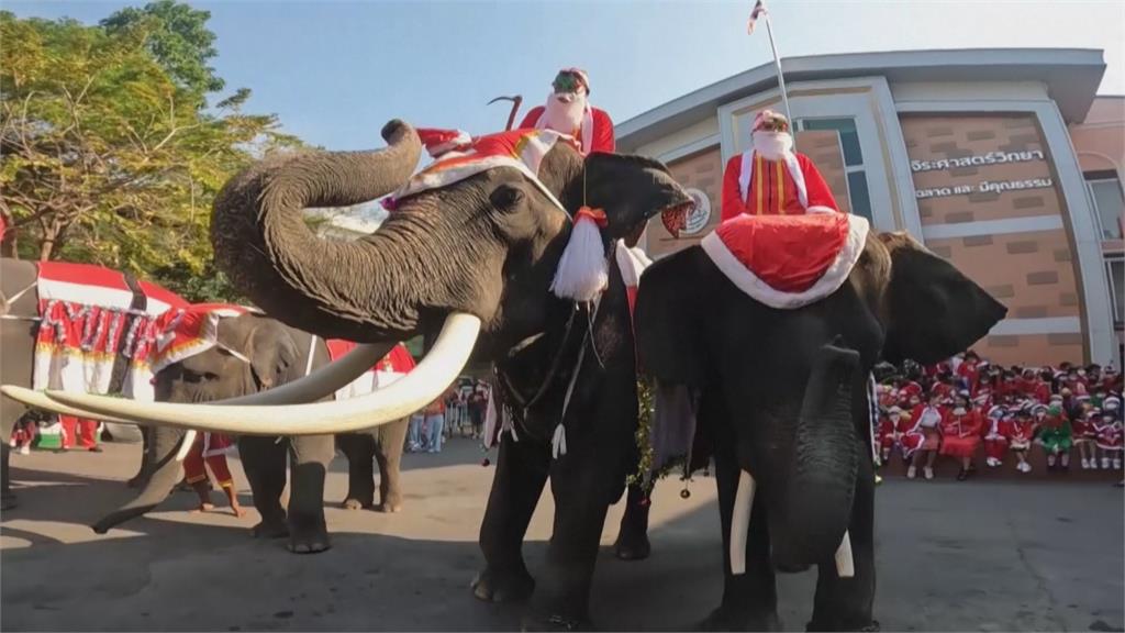 佛教大國瘋聖誕！近2千名同學狂歡　泰國大象扮馴鹿學校送禮物