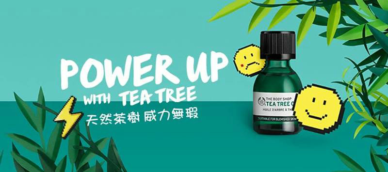 全球瘋買茶樹精油！有效抗痘外，還能驅蚊、舒緩心情
