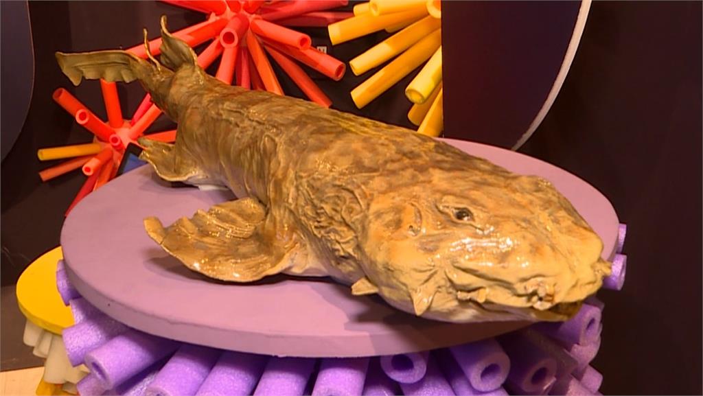 桃園竹圍魚鱻節邁入第20週年　推出「食魚教育貨櫃展」