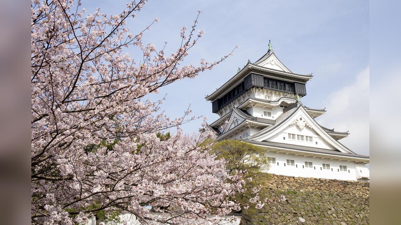 日本住宿好貴！ 撞期「嵐」演唱會  福岡一晚飆10萬日幣