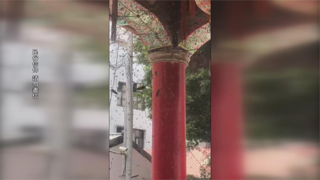 台南開基永華宮湧入成群蜜蜂　信眾嘖嘖稱奇