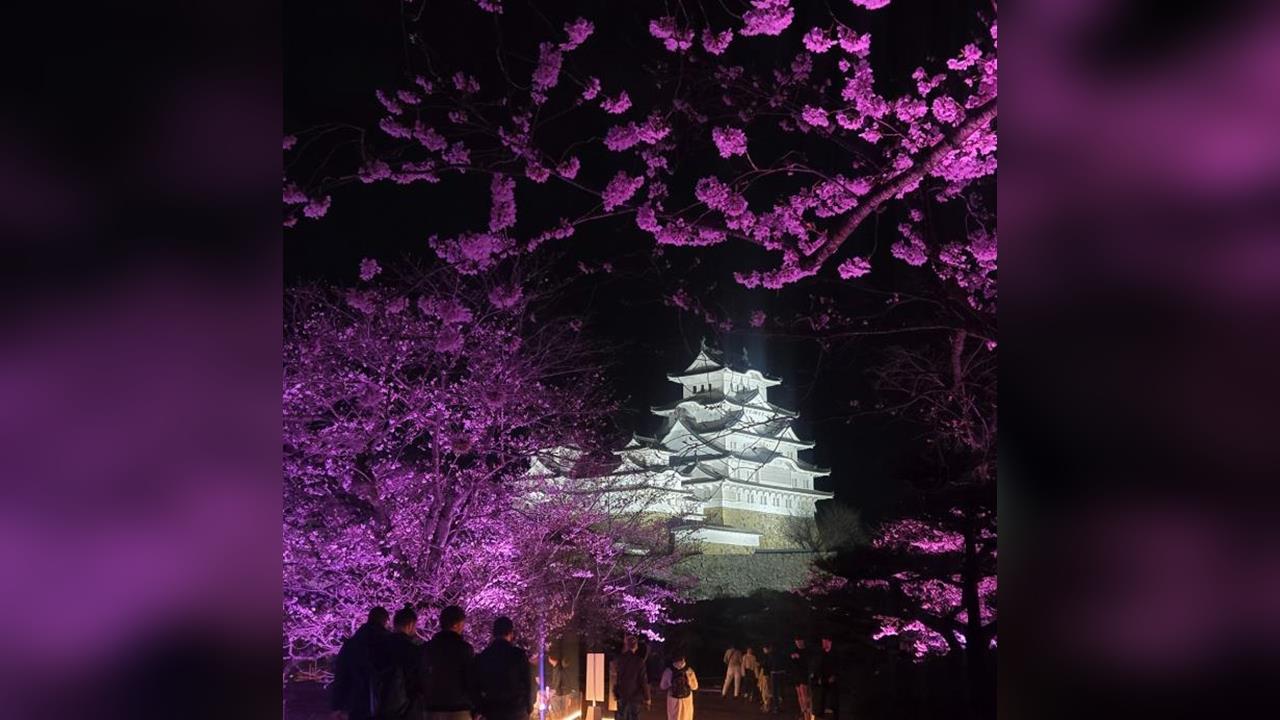 快新聞／薔蜜颱風肆虐日本！世界遺產「姬路城」外牆剝落