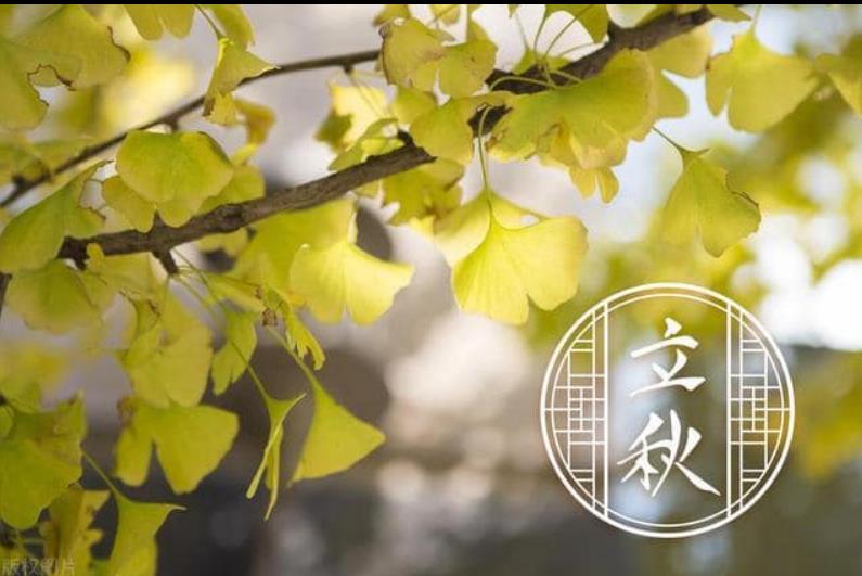 8/7立秋可催桃花！命理師：熱戀男女在枕頭下放「一物」　永結同心