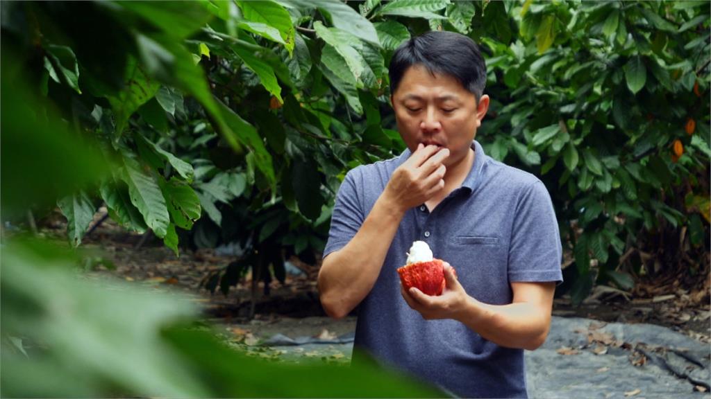 斥資上千萬將廢地改造整地　開闢可可莊園也發展食農教育