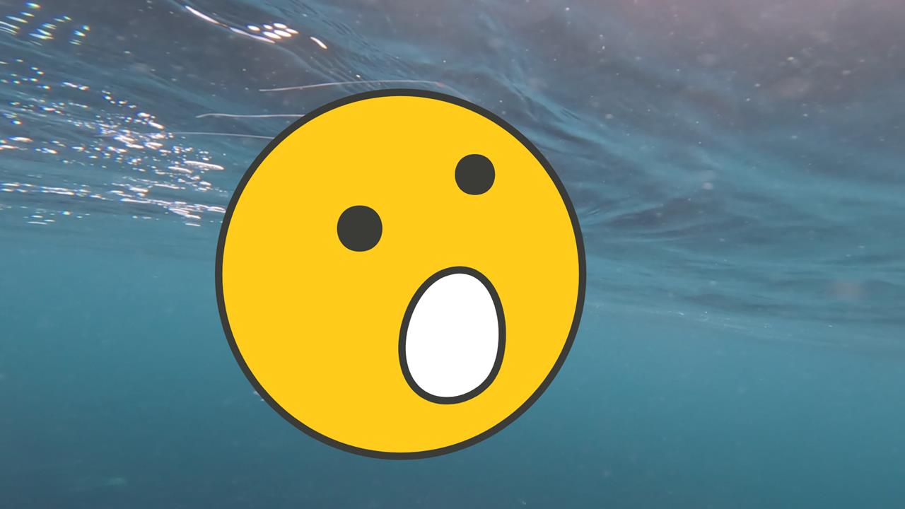 「銀白刀片狀」深海怪魚現4.6米淺水灣！專家曝：傳說中的鮭魚之王