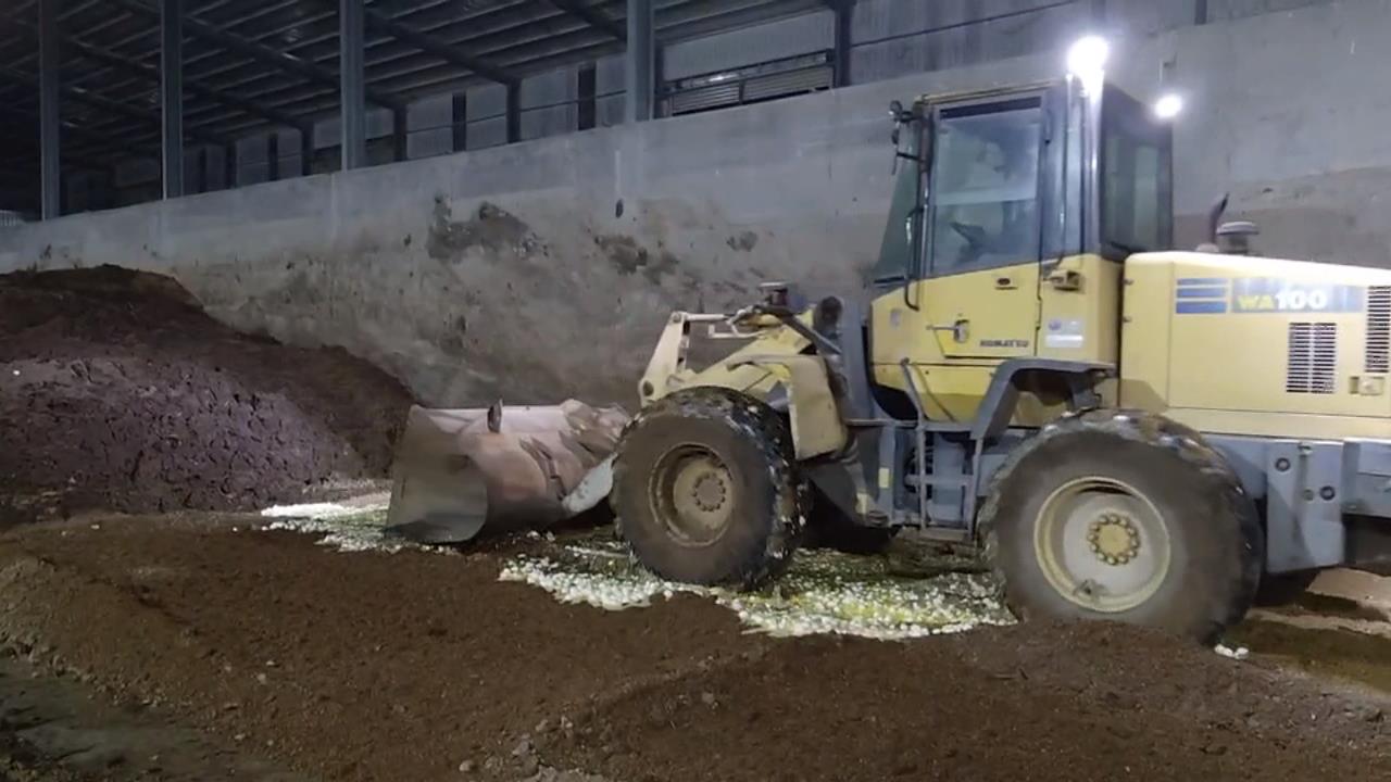 芬普尼毒蛋延燒! 蛋行負責人20萬交保 蛋也流向新北