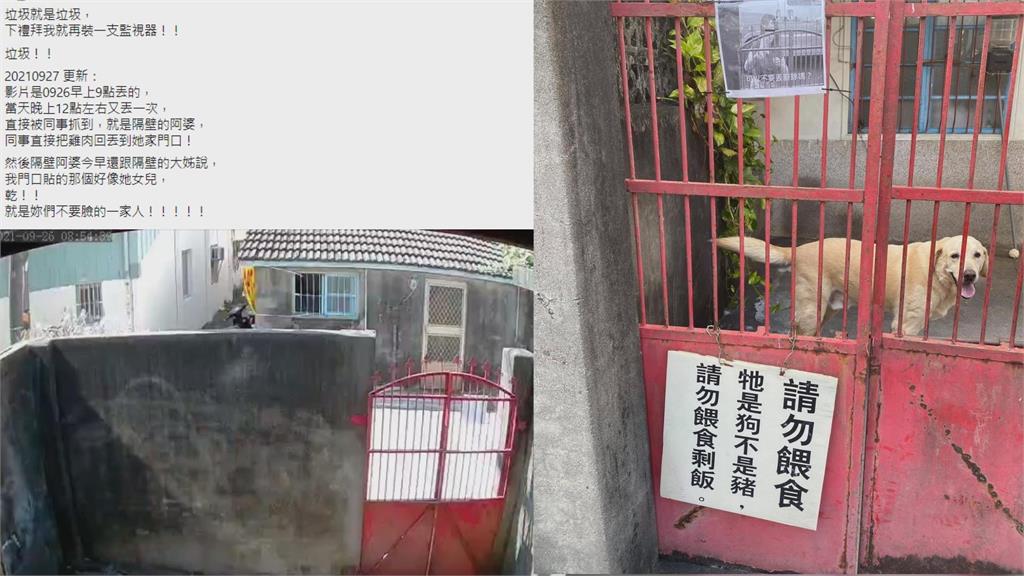 牠是狗不是豬！惡鄰居愛拿廚餘餵狗　「屋主告誡她」竟躲死角繼續丟