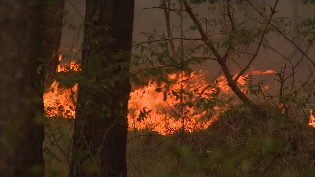 德國柏林森林大火燒3村落 500名村民撤離