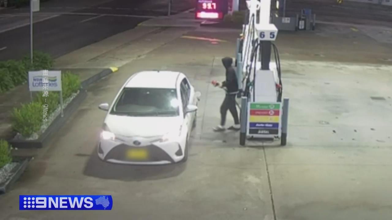 兩大原油價破百衝擊荷包　埃及總統示警：每桶恐飆兩百美元