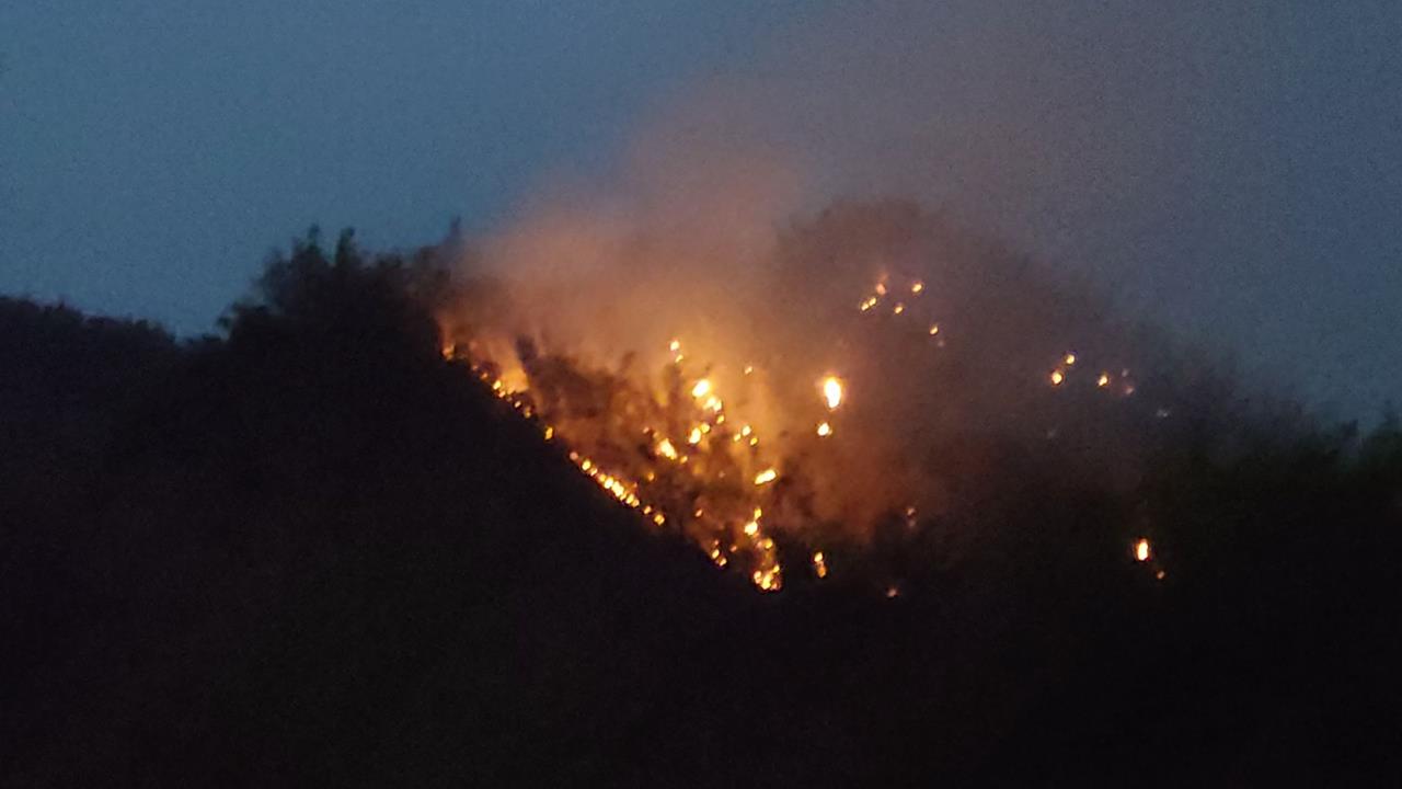 美濃近黃蝶翠谷"火燒山"! 延燒一天一夜 直升機"灑水撲滅"