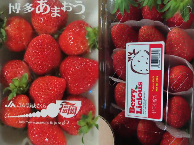 快新聞／日韓進口草莓農藥超標！逾1.2公噸遭退運　青森蘋果也違規