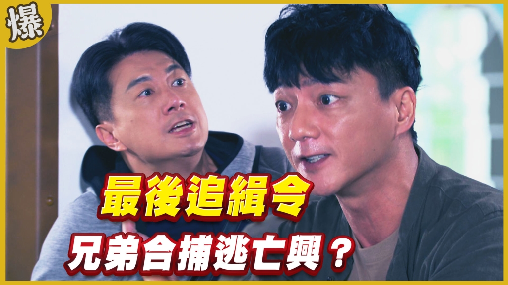 《黃金歲月-EP332精采片段》最後追緝令    兄弟合捕逃亡興？
