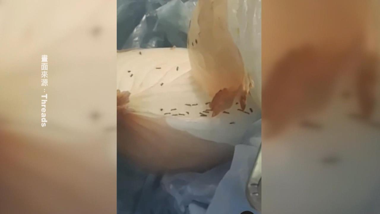 噁!洋蔥爬滿螞蟻畫面曝光 高雄衛生局派員前往稽查