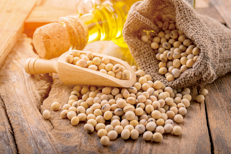 從糧食到能源 地緣政治重塑黃豆版圖