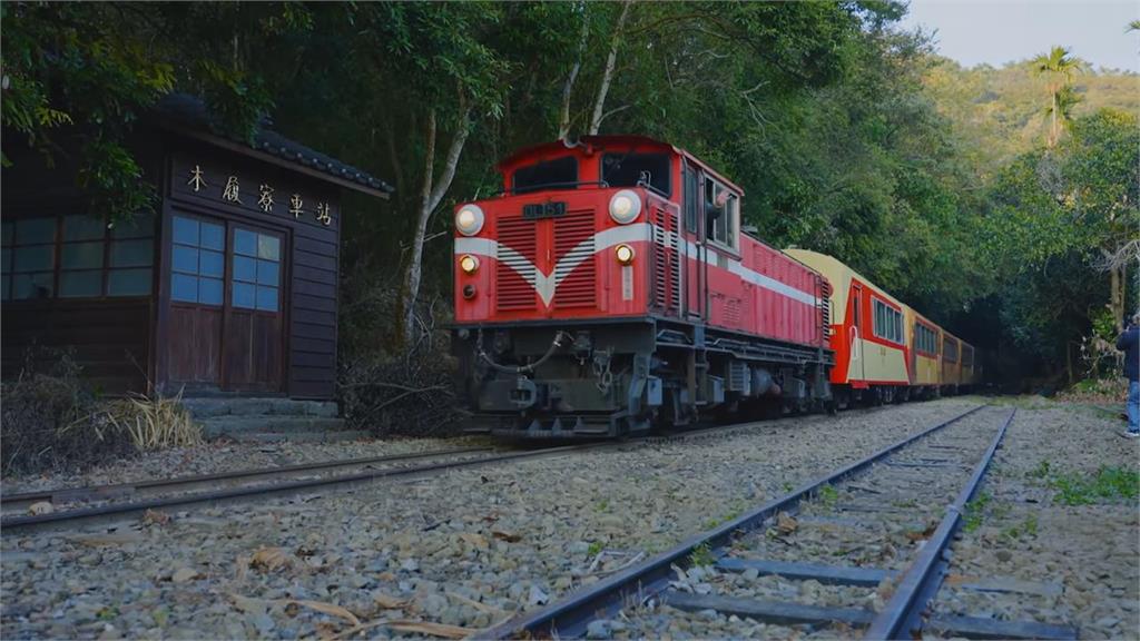 鐵道迷有多狠？阿里山冷門車站泡茶「被火車放鳥」　他怒走18公里下山