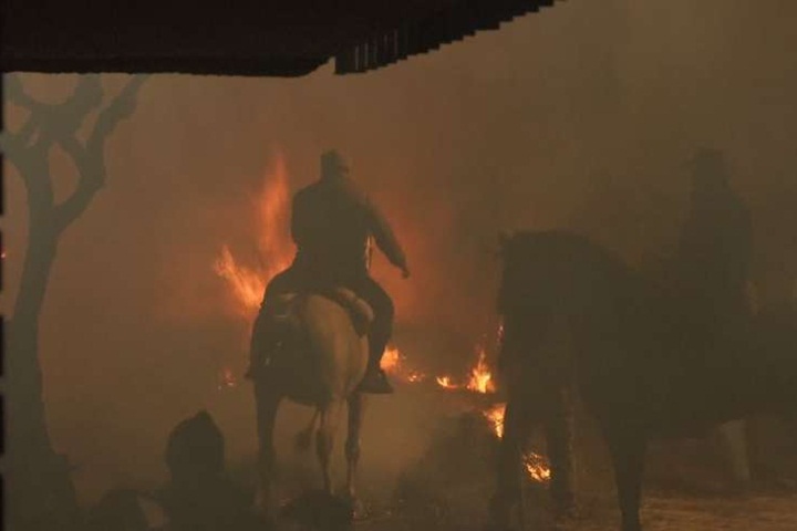 慶祝聖安東尼節 西班牙民眾「騎馬越火海」