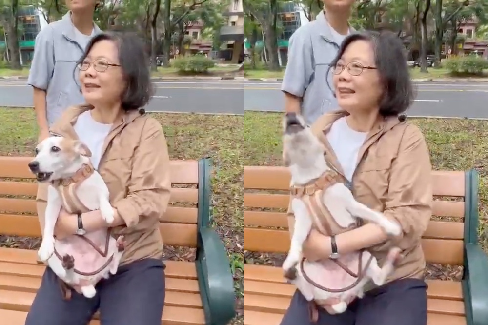 蔡英文現身力挺同志遊行 愛犬亂叫急喊「樂樂沒禮貌」民眾笑翻
