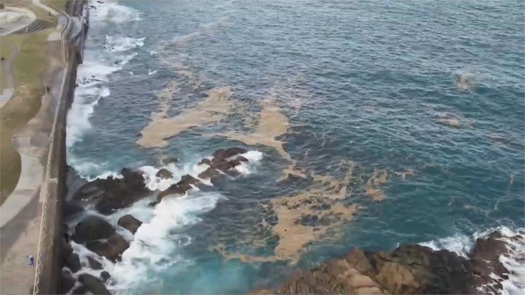 日本「火山浮石」現蹤東部多處海域　一路飄向基隆