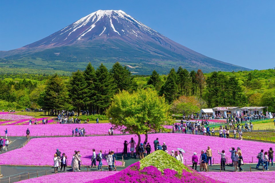 快新聞／日本富士山攀登新制將上路！　民眾欲爬山「需先上網預約」