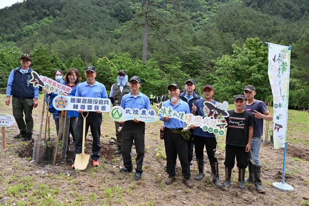 武陵農場植樹營造棲息環境　護瀕危台灣寬尾鳳蝶