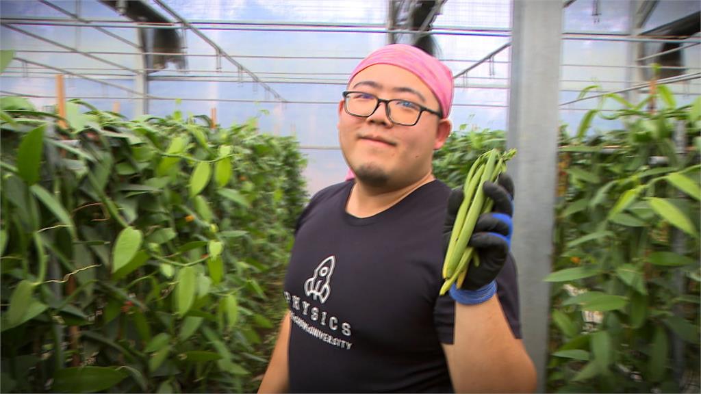 保險業務員返鄉種香草莢！　台灣唯一獲水晶獎認證