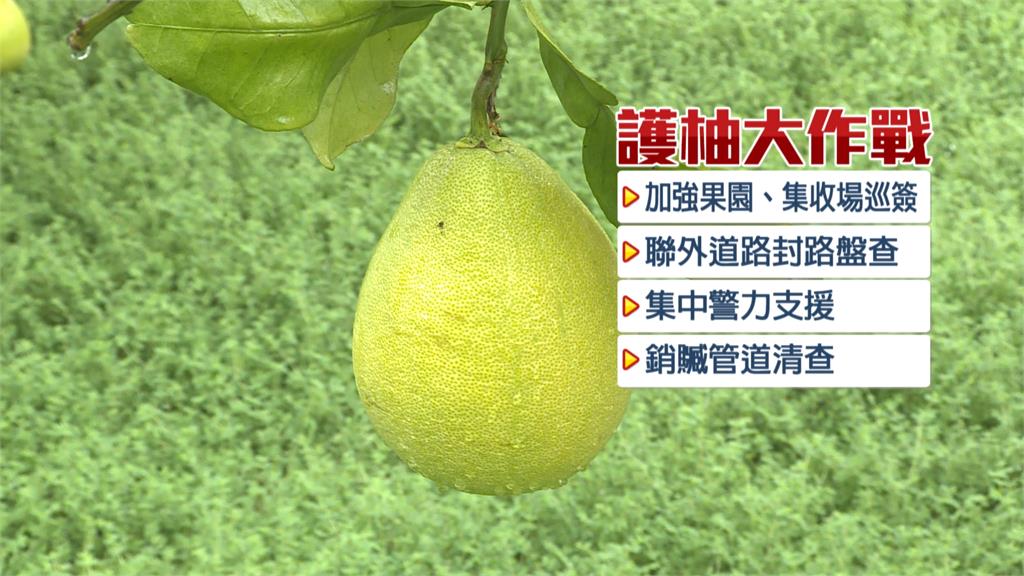 徹夜巡邏、加強盤查 花蓮警局實施護柚專案