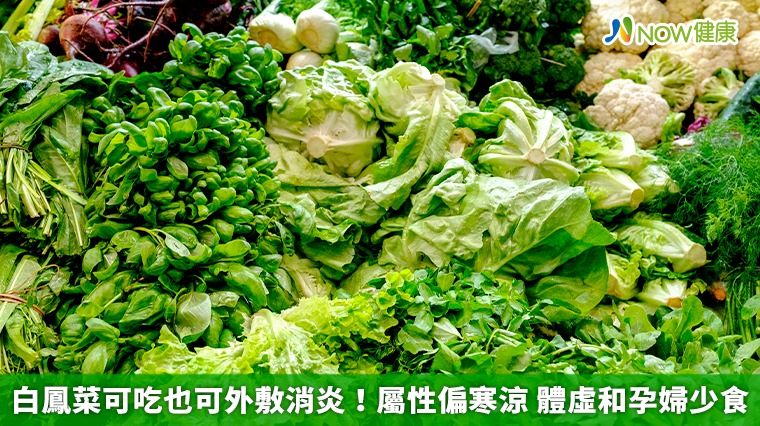 白鳳菜可吃也可外敷消炎!屬性偏寒涼 體虛和孕婦少食