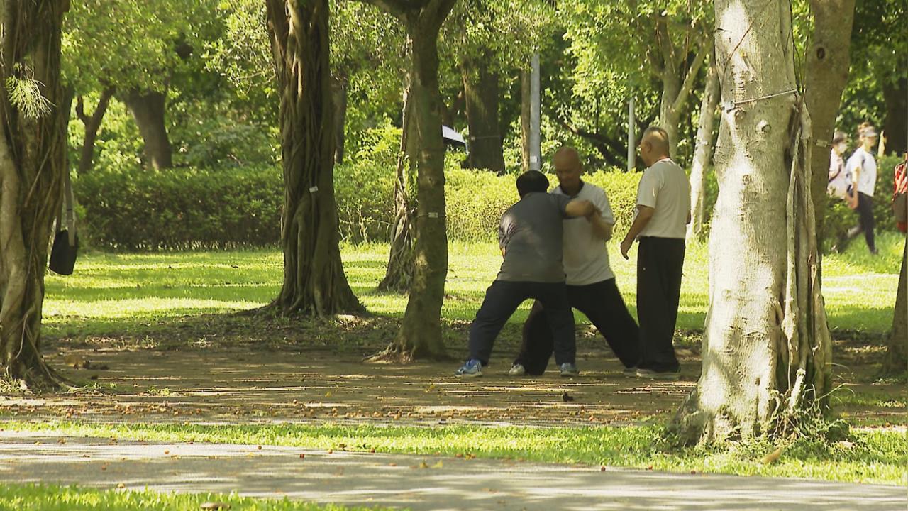 一年「消滅」3座101高的紙山！新光人壽靠「這招」護林2280棵！還變出新空間？