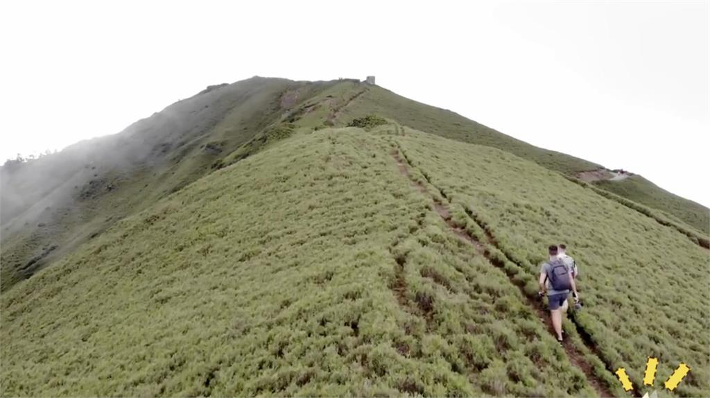 外國網紅一日爬合歡山 首次在台灣登山的經驗是......