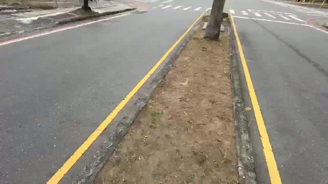 清潔員自備紙屑拍完照再夾起　整個過程被民眾拍下