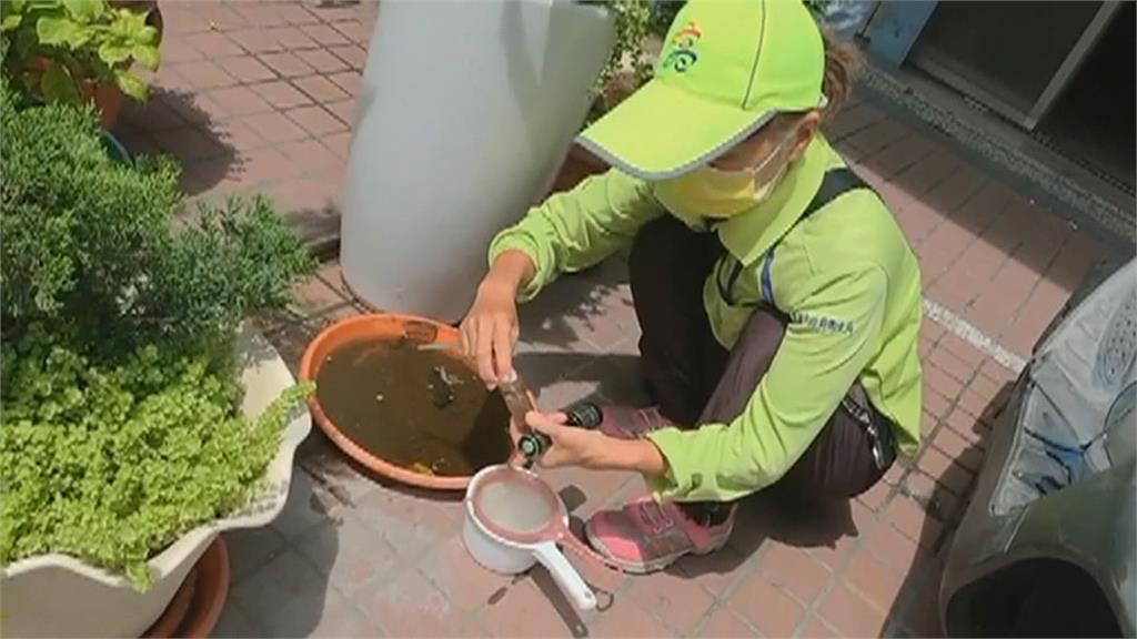 台南登革熱將邁入高峰期　雨後快清積水容器