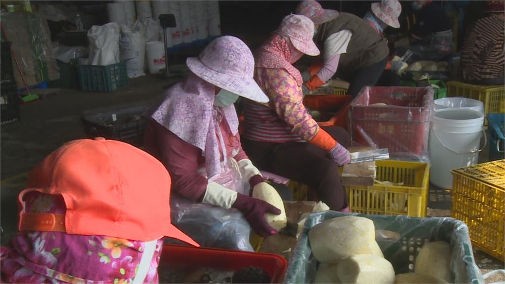 中國新令！管控進口食品　食品輸出受衝擊　食藥署限7天內註冊