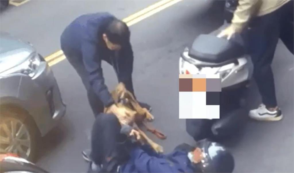 比特犬飼主兒是「法律白話文營運長」!5點聲明網酸:控制不了狗就別出門