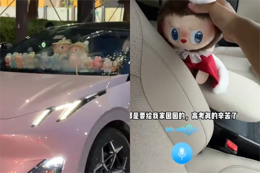 整車都是Labubu!中國老爸寵女出新招 路人也看傻眼