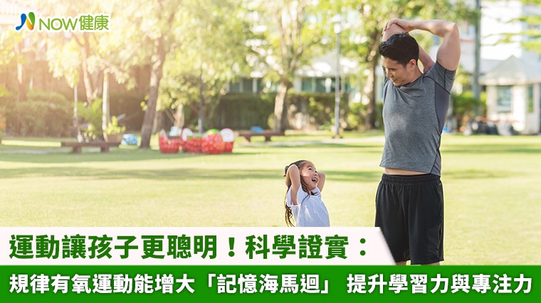運動讓孩子更聰明！科學證實：規律有氧運動能增大「記憶海馬迴」 提升學習力與專注力