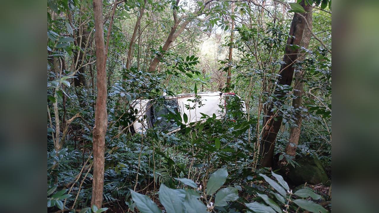 最新／奇蹟！瑞芳轎車「煞車失靈」衝下山谷卡樹欉　女駕駛僅輕傷