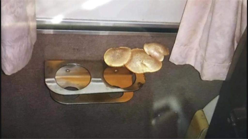 自強號杯架長三朵大香菇 台鐵：可能兩天沒清潔