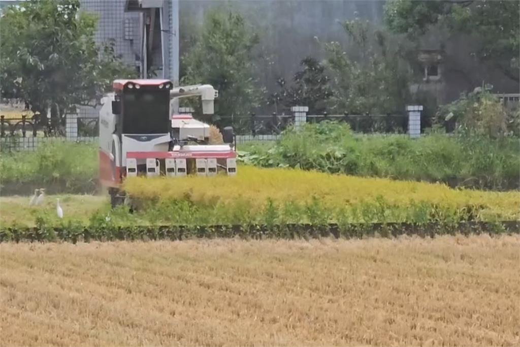 快新聞/丹娜絲步步進逼!宜蘭農民搶收稻穀 水利單位疏通河道備戰