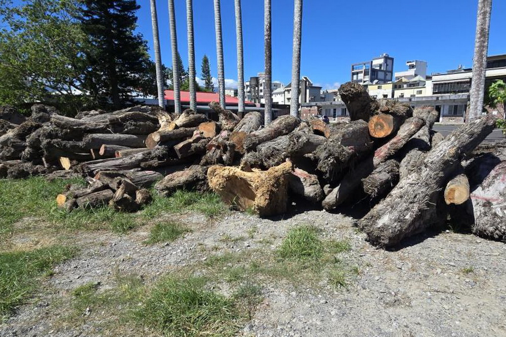 假借河川地種植西瓜侵占國有林木　宜檢起訴蘭陽溪山老鼠集團