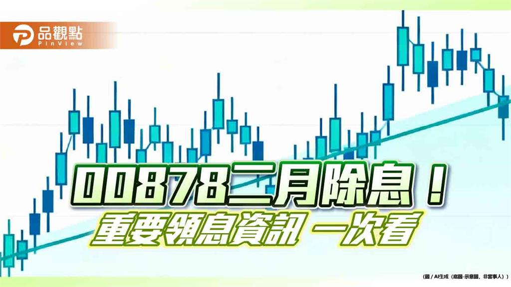 00878二月除息0.42元！年化殖利率7.4％　經理人這樣說